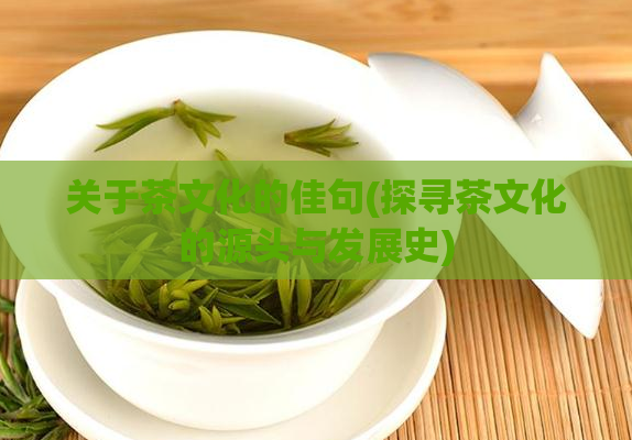 关于茶文化的佳句(探寻茶文化的源头与发展史)  第1张