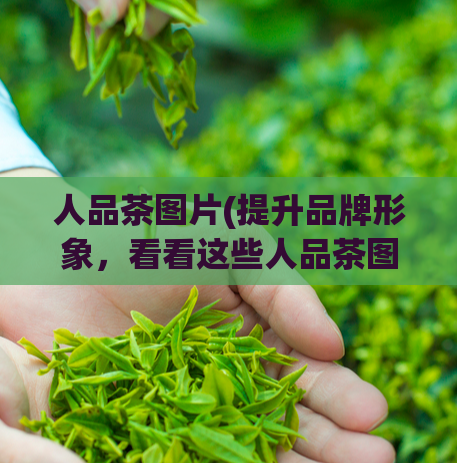 人品茶图片(提升品牌形象，看看这些人品茶图片！)  第1张