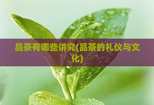 品茶有哪些讲究(品茶的礼仪与文化)  第1张