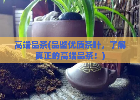 高端品茶(品鉴优质茶叶，了解真正的高端品茶！)  第1张