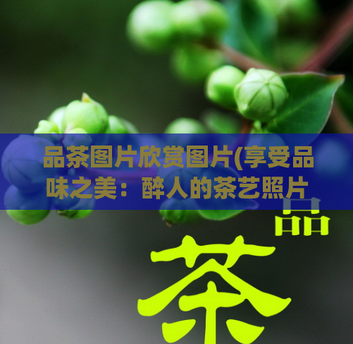 品茶图片欣赏图片(享受品味之美：醉人的茶艺照片欣赏)  第1张