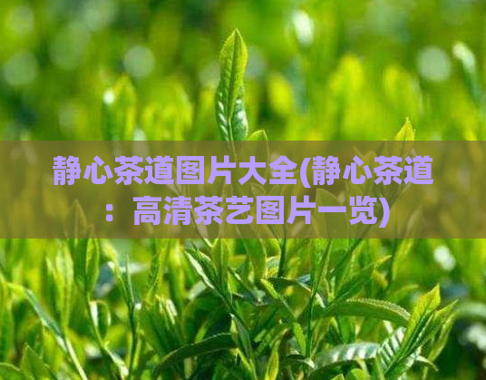 静心茶道图片大全(静心茶道：高清茶艺图片一览)  第1张