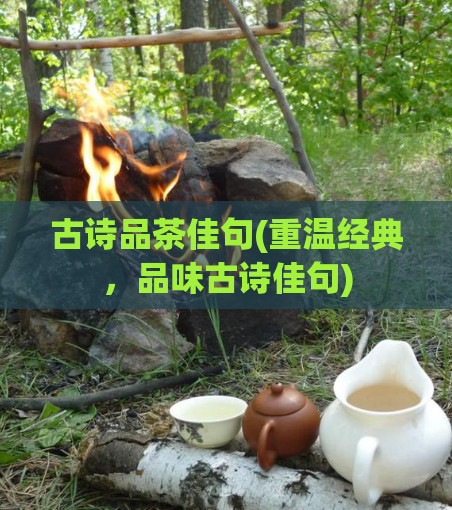 古诗品茶佳句(重温经典，品味古诗佳句)  第1张