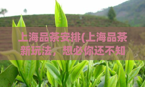 上海品茶安排(上海品茶新玩法，想必你还不知道！)  第1张