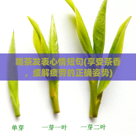 喝茶发表心情短句(享受茶香，缓解疲劳的正确姿势)  第1张