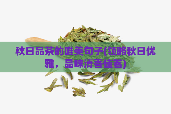 秋日品茶的唯美句子(领略秋日优雅，品味清香佳茗)  第1张