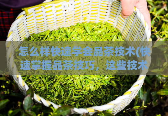 怎么样快速学会品茶技术(快速掌握品茶技巧，这些技术帮你成为鉴别茶叶高手)  第1张