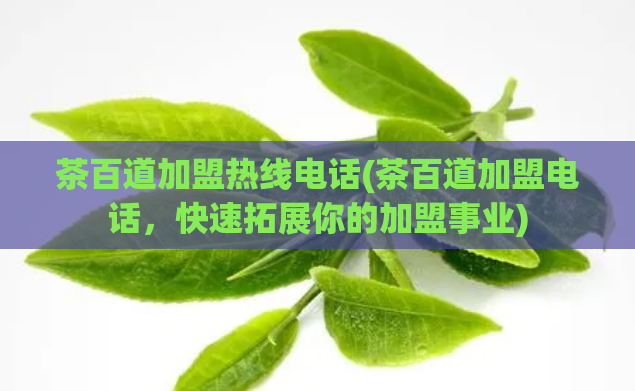 茶百道加盟热线电话(茶百道加盟电话，快速拓展你的加盟事业)  第1张