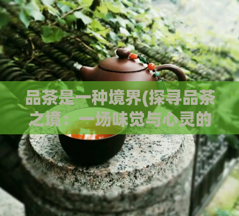 品茶是一种境界(探寻品茶之境：一场味觉与心灵的旅程)  第1张