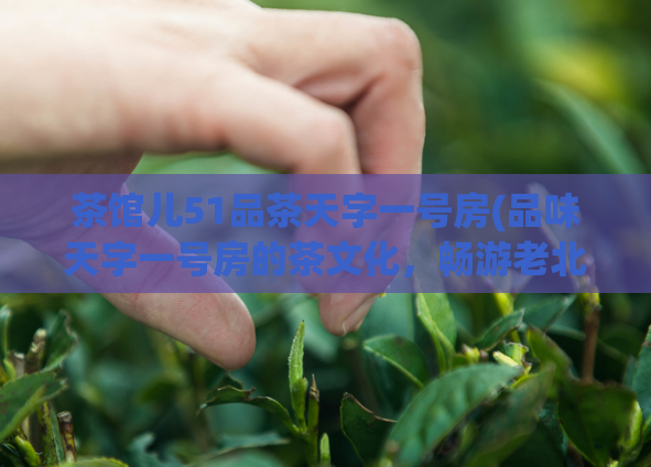 茶馆儿51品茶天字一号房(品味天字一号房的茶文化，畅游老北京茶馆儿51)  第1张