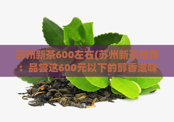 苏州新茶600左右(苏州新茶推荐：品尝这600元以下的醇香滋味)  第1张