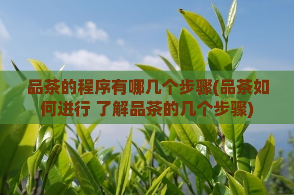 品茶的程序有哪几个步骤(品茶如何进行 了解品茶的几个步骤)  第1张