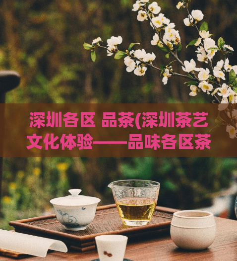 深圳各区 品茶(深圳茶艺文化体验——品味各区茶文化)  第1张