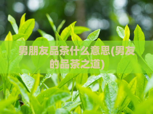 男朋友品茶什么意思(男友的品茶之道)  第1张