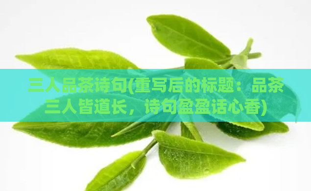 三人品茶诗句(重写后的标题：品茶三人皆道长，诗句盈盈话心香)  第1张