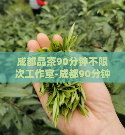 成都品茶90分钟不限次工作室-成都90分钟无限次品茶工作室  第1张