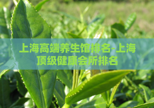 上海高端养生馆排名-上海顶级健康会所排名  第1张