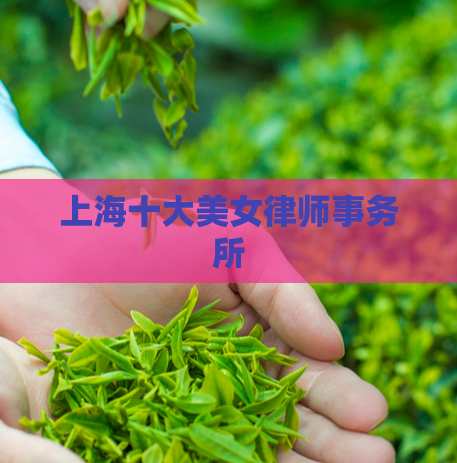 上海十大美女律师事务所  第1张