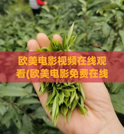 欧美电影视频在线观看(欧美电影免费在线观看)  第1张
