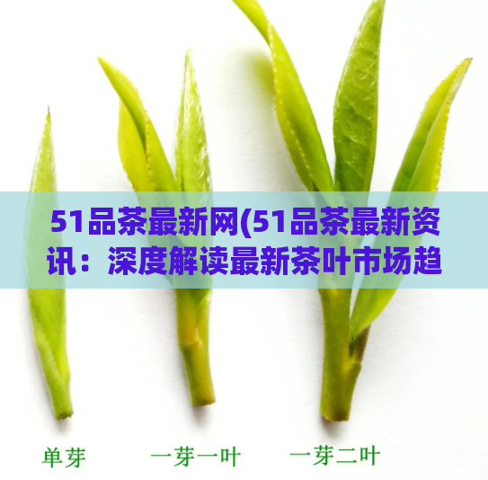 51品茶最新网(51品茶最新资讯：深度解读最新茶叶市场趋势)  第1张