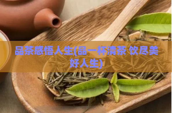 品茶感悟人生(品一杯清茶 饮尽美好人生)  第1张