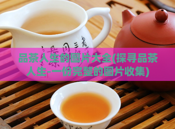 品茶人生的图片大全(探寻品茶人生-一份完整的图片收集)  第1张