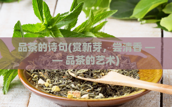 品茶的诗句(赏新芽，尝清香 —— 品茶的艺术)  第1张