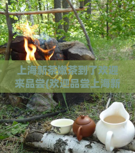 上海新茶嫩茶到了欢迎来品尝(欢迎品尝上海新鲜嫩茶)  第1张