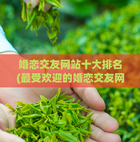 婚恋交友网站十大排名(最受欢迎的婚恋交友网站十佳推荐)  第1张