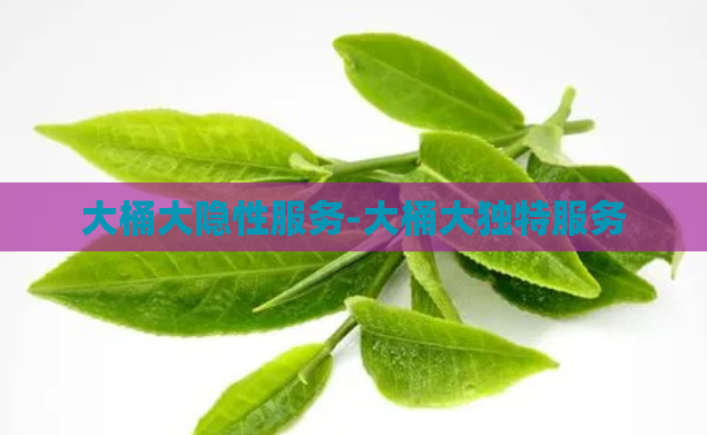 大桶大隐性服务-大桶大独特服务  第1张