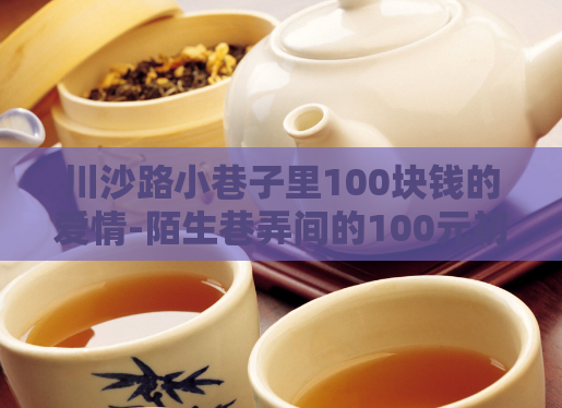 川沙路小巷子里100块钱的爱情-陌生巷弄间的100元初恋  第1张