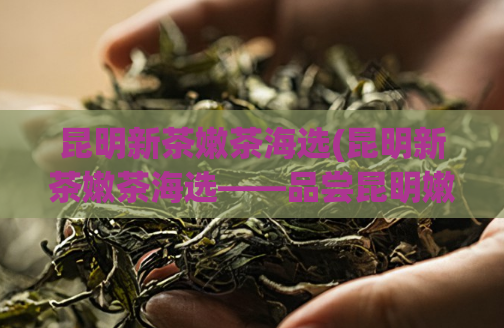 昆明新茶嫩茶海选(昆明新茶嫩茶海选——品尝昆明嫩茶的新滋味)  第1张