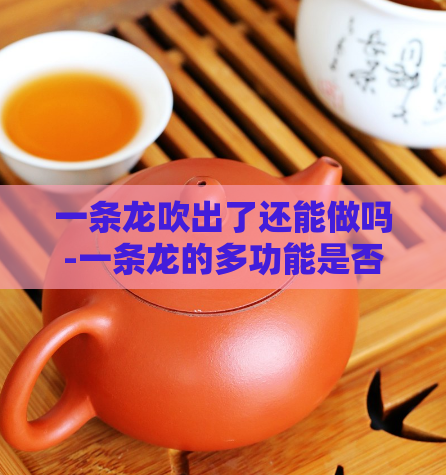 一条龙吹出了还能做吗-一条龙的多功能是否延展还  第1张