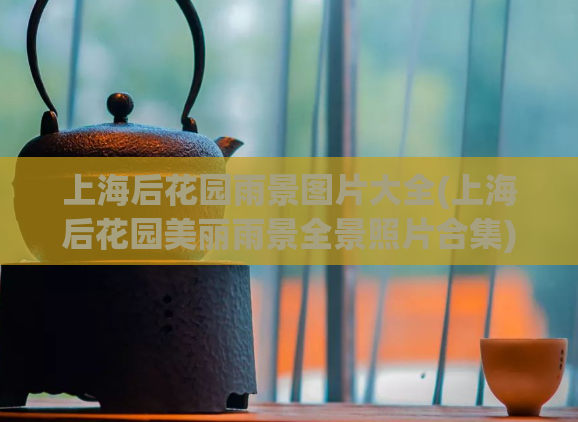 上海后花园雨景图片大全(上海后花园美丽雨景全景照片合集)  第1张