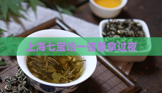 上海七宝哈一顿桑拿过夜  第1张