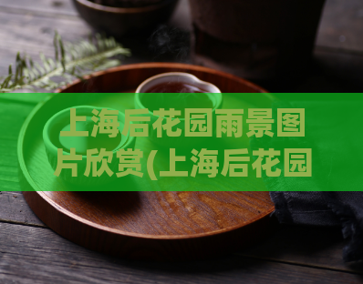 上海后花园雨景图片欣赏(上海后花园的雨景令人心旷神怡)  第1张