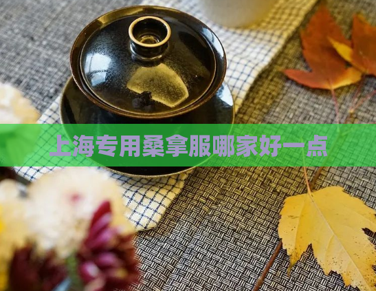 上海专用桑拿服哪家好一点  第1张