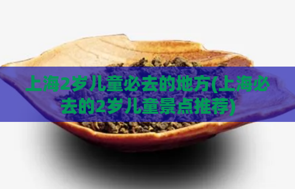 上海2岁儿童必去的地方(上海必去的2岁儿童景点推荐)  第1张
