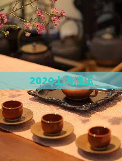 2020上海油压  第1张