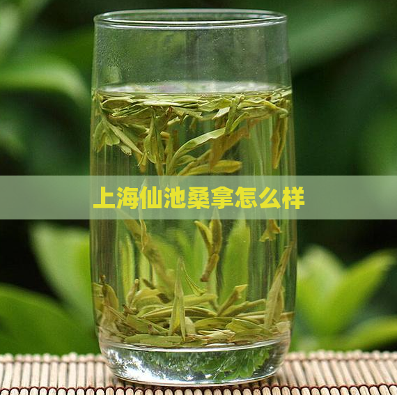 上海仙池桑拿怎么样  第1张