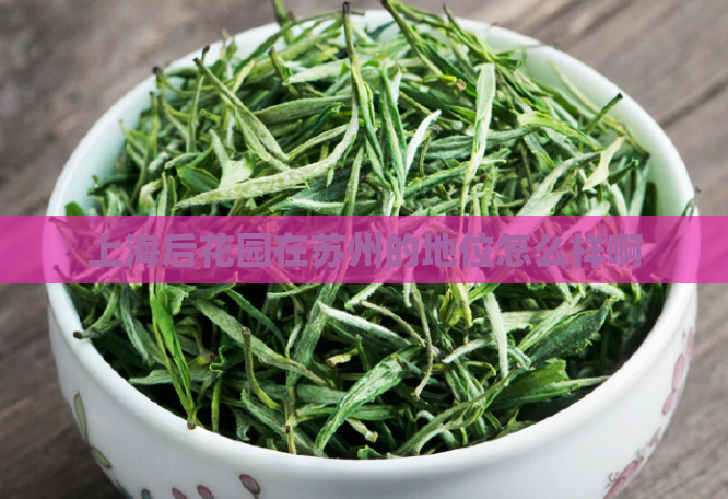 上海后花园在苏州的地位怎么样啊  第1张