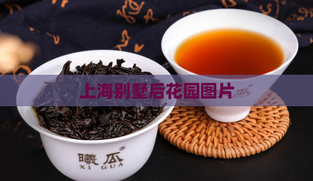 上海别墅后花园图片  第1张