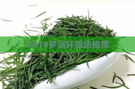 2019罗湖环保场推荐  第1张