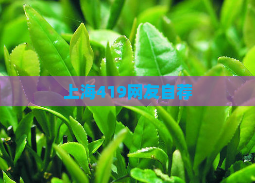 上海419网友自荐  第1张