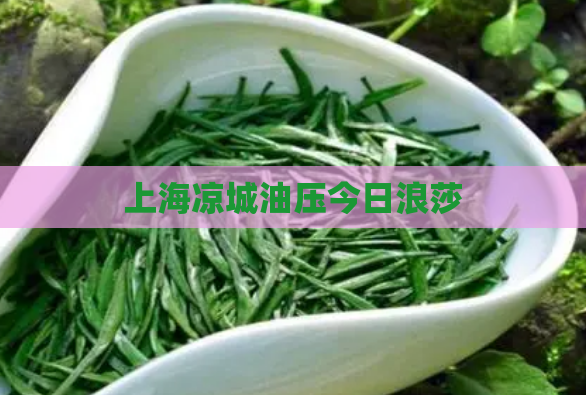 上海凉城油压今日浪莎  第1张