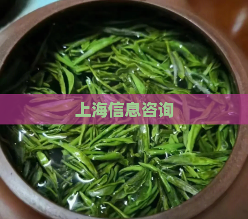 上海信息咨询  第1张