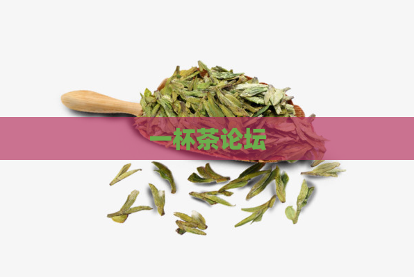 一杯茶论坛  第1张