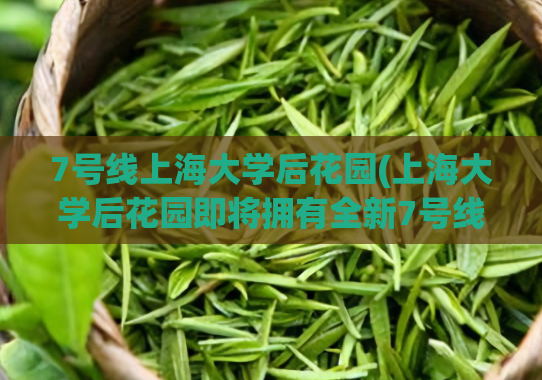 7号线上海大学后花园(上海大学后花园即将拥有全新7号线地铁站)  第1张