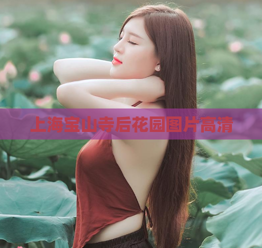 上海宝山寺后花园图片高清  第1张