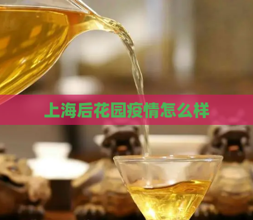 上海后花园疫情怎么样  第1张